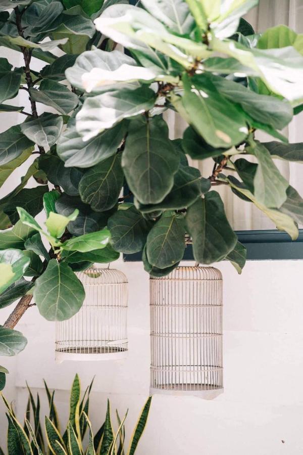 Lily Hostel Ho Chi Minh City Exterior photo
